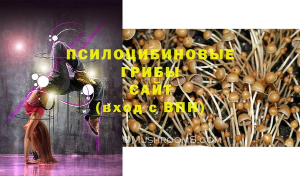 apvp Верхний Тагил